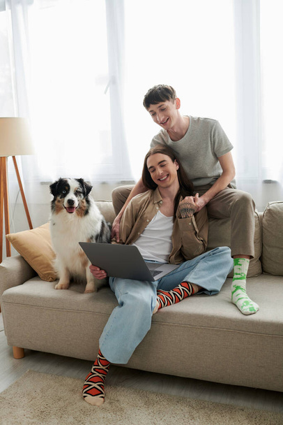 cheerful gay partners in casual clothes smiling while holding each others hands and sitting together near laptop next to cute Australian shepherd dog on couch in modern living room - 写真・画像