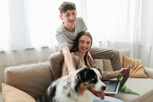 cheerful gay man cuddling Australian shepherd dog while sitting next to happy boyfriend with long hair holding laptop while working from home in living room  - Photo, Image