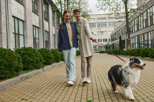 wesoły gej człowiek w casual strój trzymając smycz australijski owczarek pies podczas spaceru razem z uśmiechnięty chłopak z warkocze w pobliżu nowoczesny budynek na miejskiej ulicy  - Zdjęcie, obraz