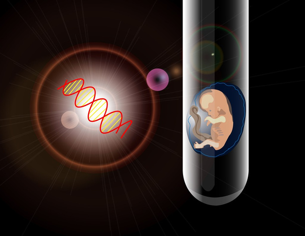 In vitro fertilization - Photo, Image