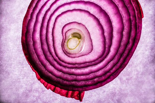 Red Onion Abstract - Photo, image