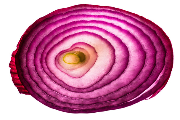 Red Onion - Foto, afbeelding