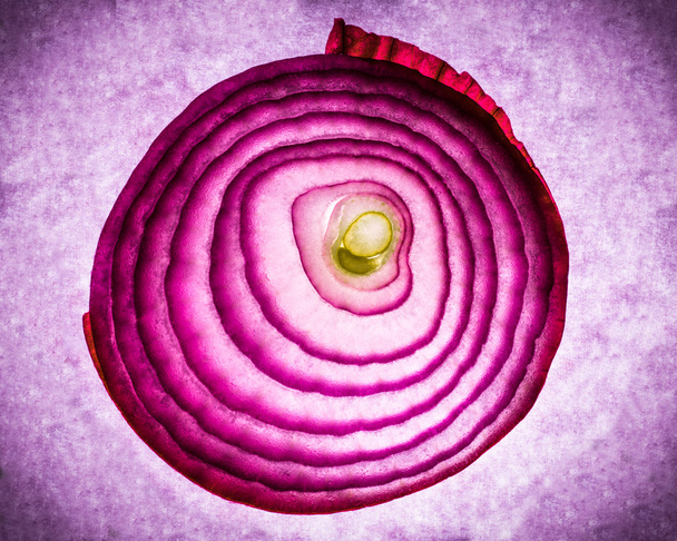 Red Onion Abstract - Φωτογραφία, εικόνα