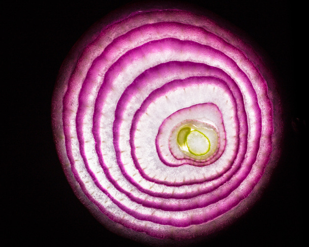 Red Onion - Фото, изображение
