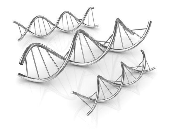 DNS alakzat - Fotó, kép