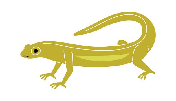Lizard Reptile Animal Vector Illustration - Vetor, Imagem