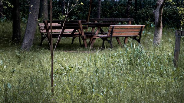 Picnic table in the forest. Place for the rest and relax in park. Old outdoor furniture. Place for picnic. Spring tourism concept - Foto, afbeelding