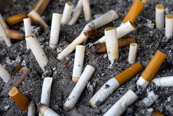 Cigarettes and ash on dirty sand in trash tray - Photo, Image