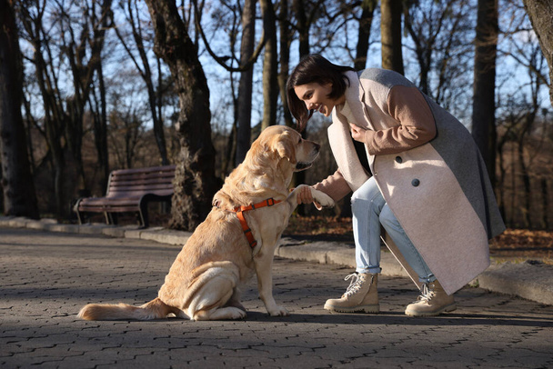Adorable Labrador Retriever giving paw to beautiful woman outdoors - Fotoğraf, Görsel