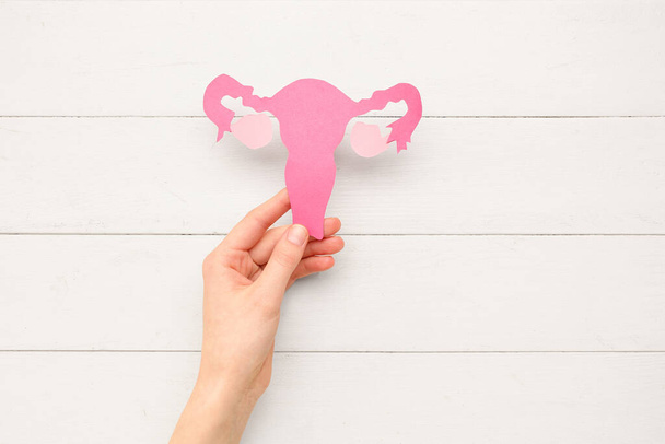 Beyaz tahta arka planda kağıt uterusu olan bir kadın. Hormon kavramı - Fotoğraf, Görsel
