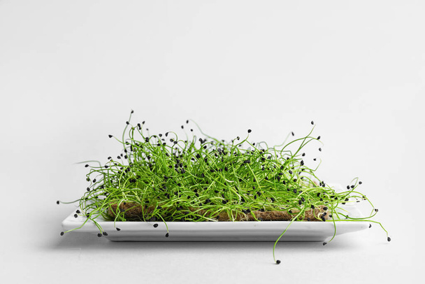 Plate with fresh micro green on light background - Fotoğraf, Görsel