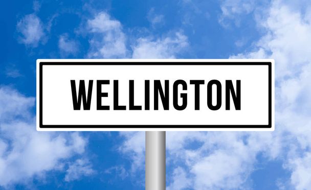 Дорожный знак Веллингтона на облачном фоне неба - Фото, изображение
