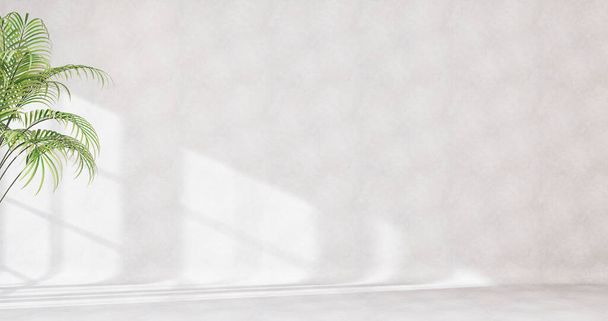 Astratto sfondo bianco studio per la presentazione del prodotto stanza vuota con ombre di finestra e fiori e foglie di palma stanza 3d con spazio copia concerto estivo sfondo sfocato. Rendering 3D,  - Foto, immagini