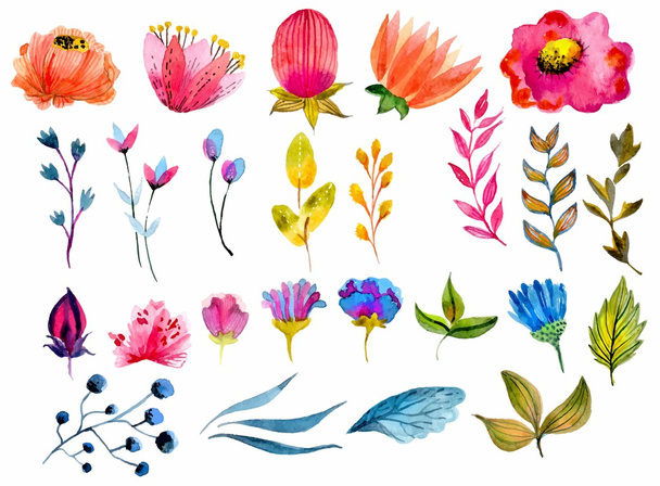 Beautiful Watercolor flower set - Vektör, Görsel