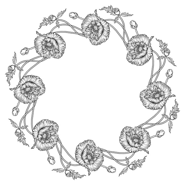 Composición gráfica de flores. Flores de amapolas. Corona de flores - Vector, imagen