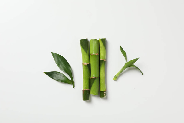 Concept of tropical and summer plant - bamboo - Photo, Image