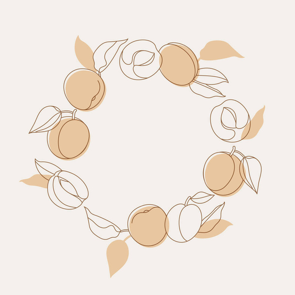 Векторная иллюстрация композиции круга с фруктами абрикоса. Модный фон с абрикосами - Вектор,изображение