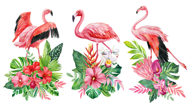 Flor exótica, palma, pássaros. Arranjos tropicais com folhas, flores e flamingo. Cartão, convite, desenhos de cartazes. Ilustração de alta qualidade - Foto, Imagem