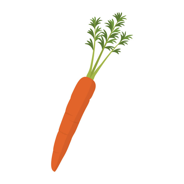 Fresh delicious carrot isolated icon, nutrition and produce concept - Vektor, obrázek