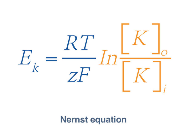 La ecuación de Nernst es una ecuación para calcular el potencial de membrana en reposo de una membrana celular, que depende de la proporción de concentraciones de potasio fuera y dentro de la célula.. - Foto, Imagen