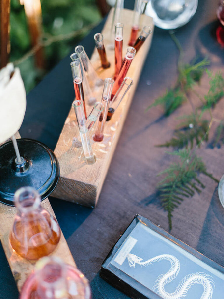 Test tubes and flasks with red and orange drinks in wooden pods. Decorated themed party. - Zdjęcie, obraz