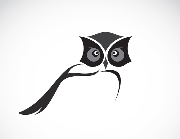 Beyaz arkaplanda bir baykuş tasarımı vektör resmi - Vektör, Görsel