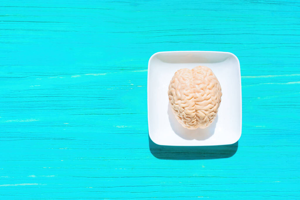 Miniature replica of the human brain placed on a white tray, set on a blue wooden background. Medical presentations, educational materials, anatomy and psychology articles and design projects concept. - Photo, image