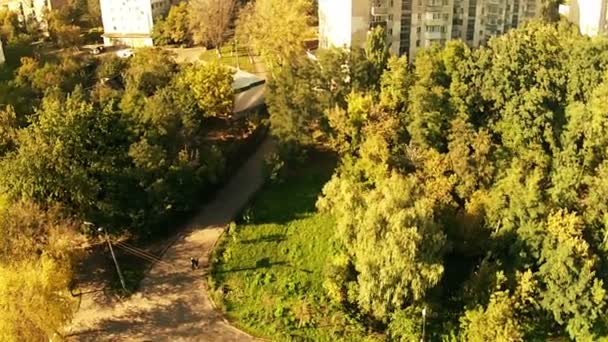 Panorama of city park. Aerial - Footage, Video