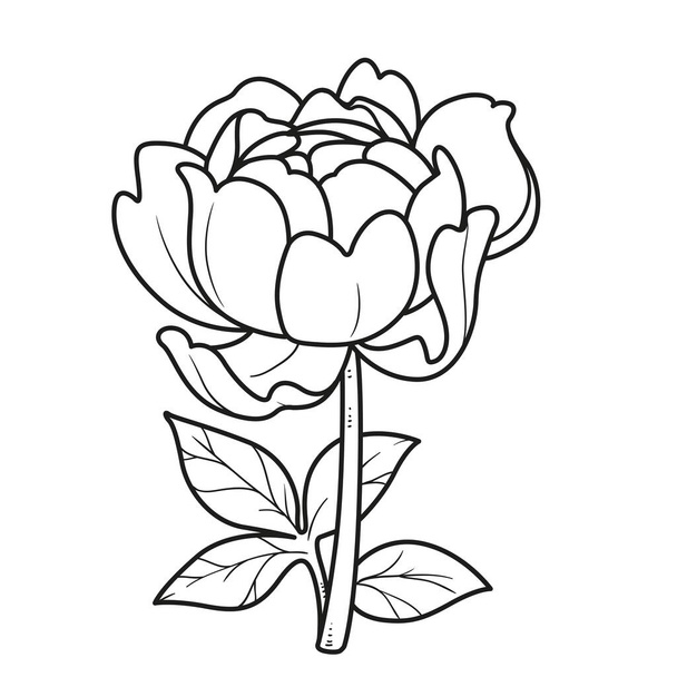 Half-blown rose linear drawing for  coloring book isolated on white background - Vecteur, image