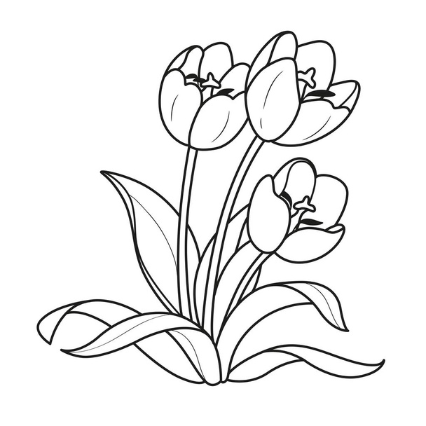 Three tulips flowers outlined for coloring book isolated on white background - Vector, Image