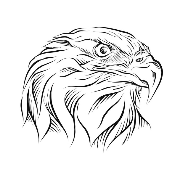 Eagle Head hand drawn illustration - Vector, imagen