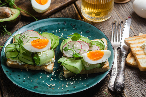 White bread toasts with cream cheese, egg, avocado, cucumber and radish in a plate - Fotografie, Obrázek