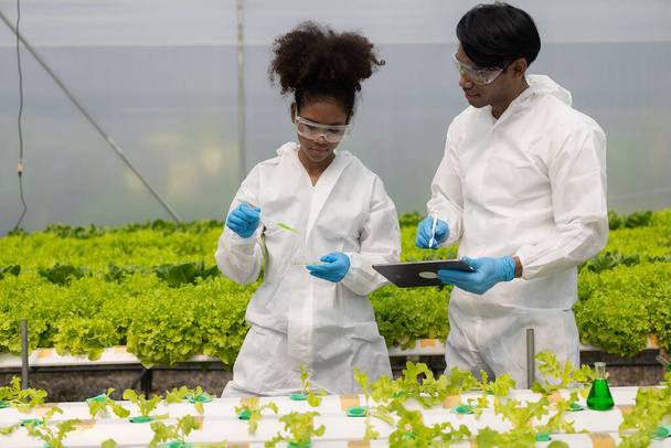 Afrikalı Amerikalı araştırmacı ve bitki genetiği uzmanı. Hidroponik sebze bahçesindeki bakteri ve kalitesini test edin. Araştırmacılar çiftlik suyundan yetiştirilen sebzeleri test etmek için örnekler topluyorlar.. - Fotoğraf, Görsel