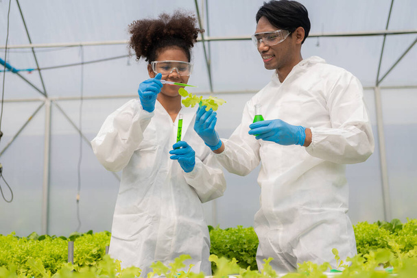 African American researcher and plant genetics expert. Test the quality and bacteria in the hydroponics vegetable garden. Researchers are collecting samples to test vegetables grown from farm water. - Fotó, kép