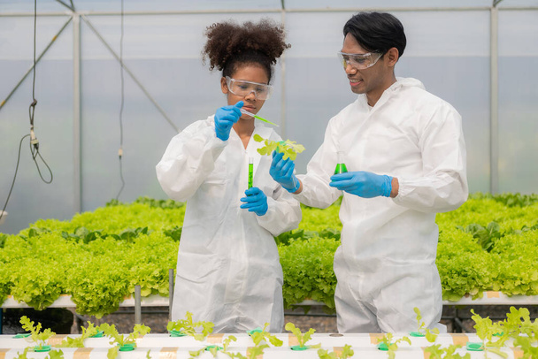 African American researcher and plant genetics expert. Test the quality and bacteria in the hydroponics vegetable garden. Researchers are collecting samples to test vegetables grown from farm water. - Foto, Bild