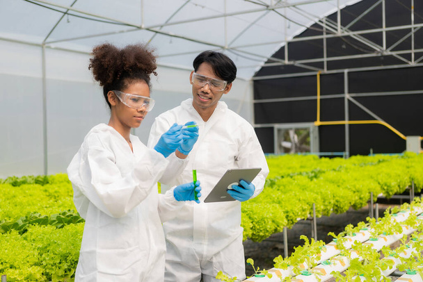 Afroamerykanin i ekspert od genetyki roślin. Sprawdź jakość i bakterie w ogrodzie warzywnym hydroponiki. Naukowcy zbierają próbki do badania warzyw uprawianych z wody w gospodarstwie. - Zdjęcie, obraz