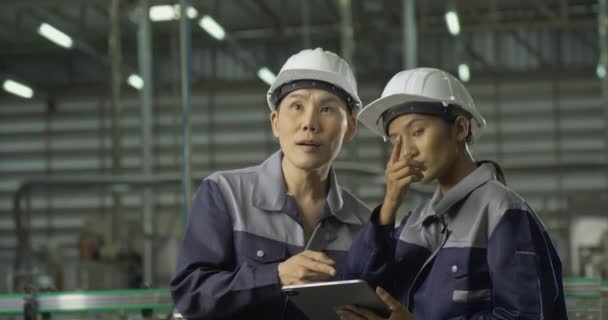 trabajadores masculinos y femeninos que usan cascos en fábrica - Metraje, vídeo