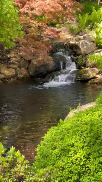 Křišťálově čistý potok obklopený kouzelně krásnou přírodou. Akciové video. 4K - Záběry, video