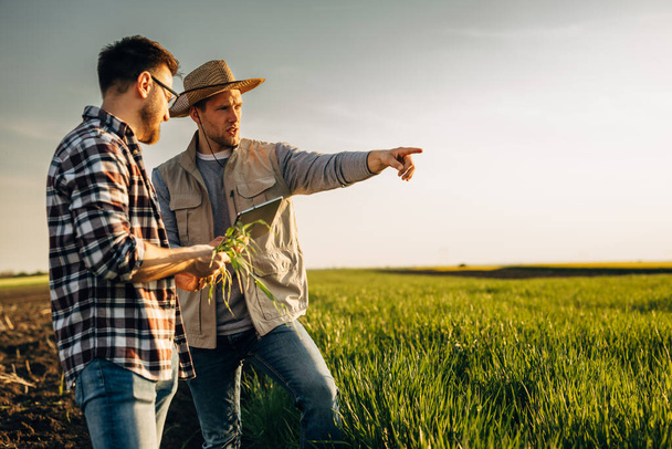 Two men standing in the field. - Фото, изображение