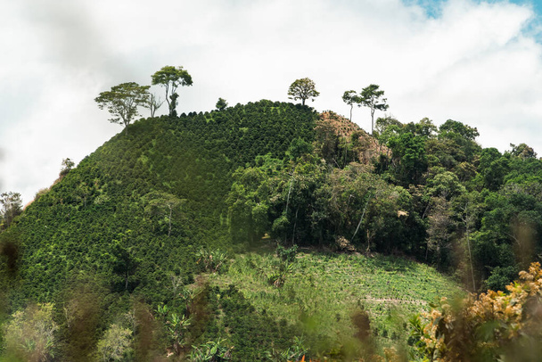 Природный и сельский пейзаж Джерико, Антиокия с горами и голубым небом. Колумбия. - Фото, изображение