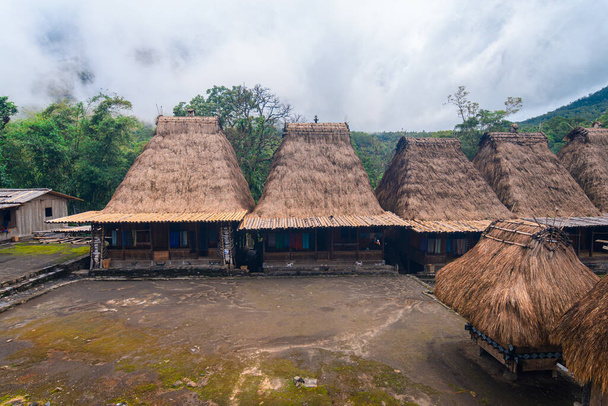 traditionele rieten dak dorp van luba in Florida eiland, Indonesië - Foto, afbeelding