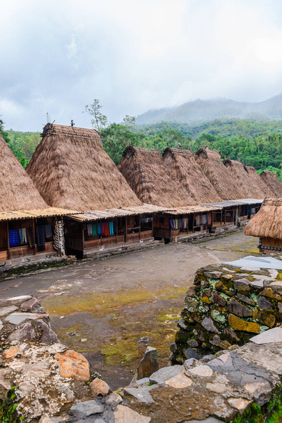 perinteinen katon kylä luba Floresissa saarella, Indonesiassa - Valokuva, kuva