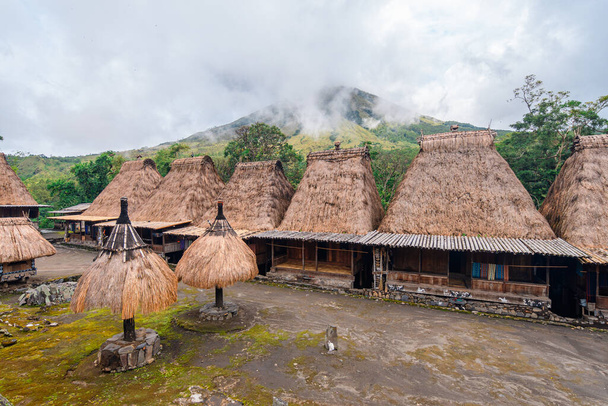 village traditionnel de toit de chaume de luba à flores île, indonesia - Photo, image