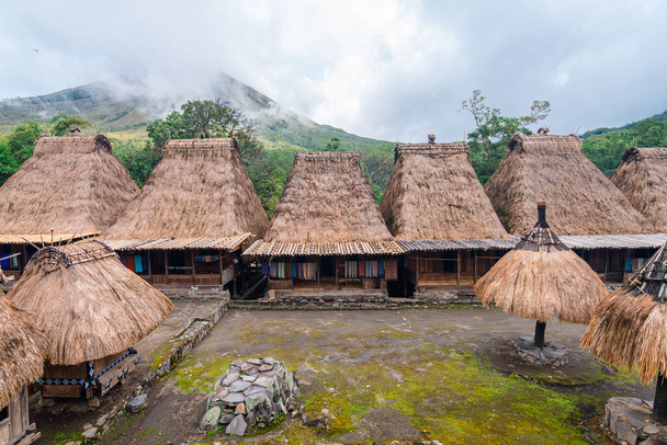 traditional thatched roof village of luba in flores island, indonesia - Photo, Image