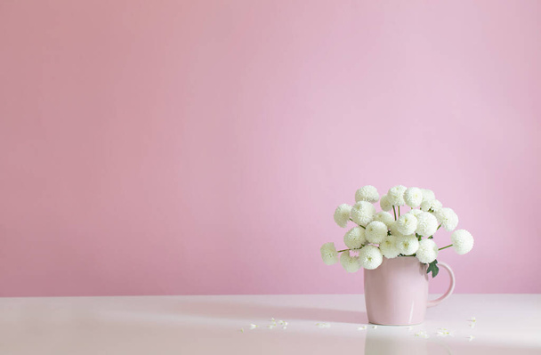 white  chrysanthemums in pink cup on pink background - Photo, image