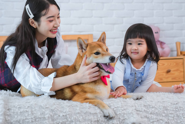 Piękna Azjatka i mała dziewczynka były delikatne z psem Shiba upewniając się, że jest to wygodne i szczęśliwe, jak grali razem na łóżku. - Zdjęcie, obraz