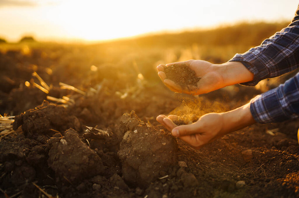 Hand of farmer collect soil and checking soil health before growth a seed of vegetable or plant seedling. Harvesting. Agribusiness. Gardening concept. - Foto, Bild
