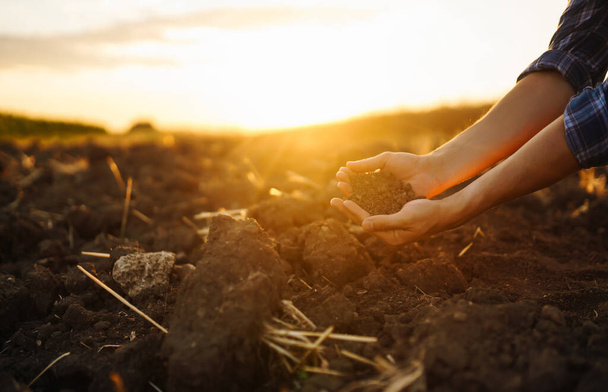 Hand of farmer collect soil and checking soil health before growth a seed of vegetable or plant seedling. Harvesting. Agribusiness. Gardening concept. - Zdjęcie, obraz