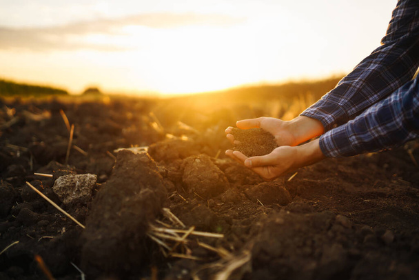 Hand of farmer collect soil and checking soil health before growth a seed of vegetable or plant seedling. Harvesting. Agribusiness. Gardening concept. - Foto, Imagen