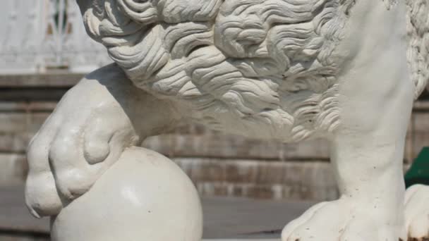 Machtige leeuw met bal beeldhouwkunst - Video